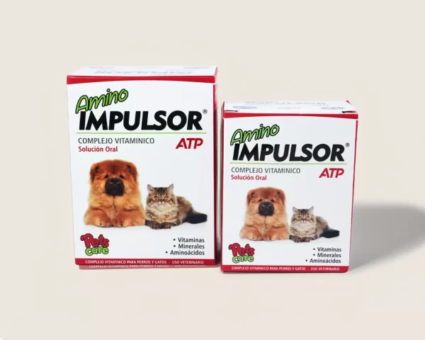 Amino Impulsor ATP
