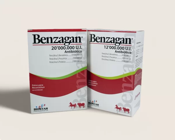 Benzagan